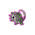 Exotic Raticate